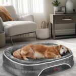 OhGeni Orthopedic Dog Bed for Large Dogs, Oversized Couch Design with Egg Foam Support, Removable, Machine Washable Plush Cover and Non-Slip Bottom with Four Sided Bolster Cushion (Gray)  Pet Supplies