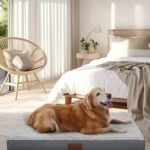 OhGeni Grey Dog Bed for Large Dogs – Large Orthopedic Dog Bed with Egg Crate Foam Support and Non-Slip Bottom, Waterproof and Machine Washable Removable Pet Bed Cover (Gray)  Pet Supplies